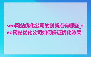 seo网站优化公司的创新点有哪些_seo网站优化公司如何保证优化效果