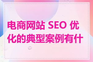 电商网站 SEO 优化的典型案例有什么
