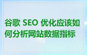 谷歌 SEO 优化应该如何分析网站数据指标
