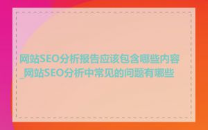网站SEO分析报告应该包含哪些内容_网站SEO分析中常见的问题有哪些