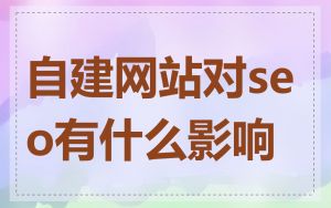 自建网站对seo有什么影响