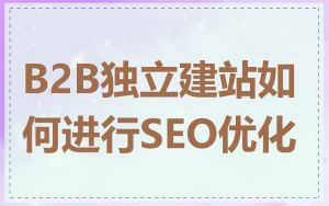 B2B独立建站如何进行SEO优化