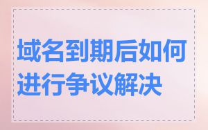 域名到期后如何进行争议解决