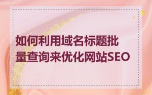 如何利用域名标题批量查询来优化网站SEO