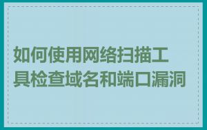 如何使用网络扫描工具检查域名和端口漏洞