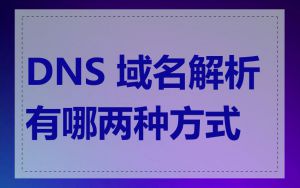 DNS 域名解析有哪两种方式