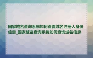 国家域名查询系统如何查看域名注册人身份信息_国家域名查询系统如何查询域名信息