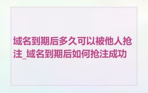 域名到期后多久可以被他人抢注_域名到期后如何抢注成功