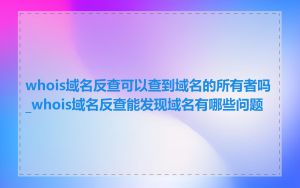 whois域名反查可以查到域名的所有者吗_whois域名反查能发现域名有哪些问题