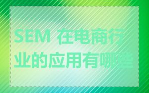 SEM 在电商行业的应用有哪些