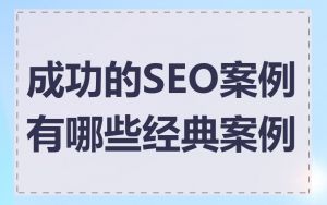 成功的SEO案例有哪些经典案例