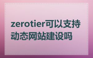 zerotier可以支持动态网站建设吗