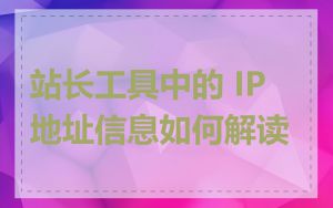 站长工具中的 IP 地址信息如何解读