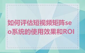 如何评估短视频矩阵seo系统的使用效果和ROI
