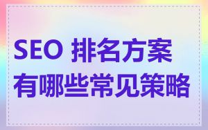 SEO 排名方案有哪些常见策略