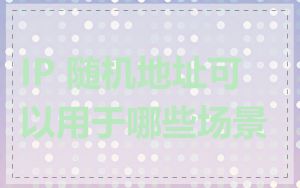 IP 随机地址可以用于哪些场景