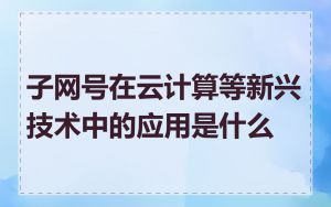 子网号在云计算等新兴技术中的应用是什么