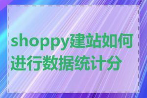 shoppy建站如何进行数据统计分析