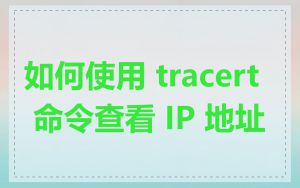 如何使用 tracert 命令查看 IP 地址