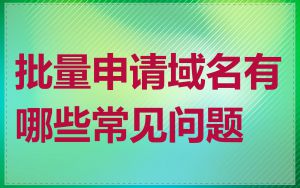 批量申请域名有哪些常见问题
