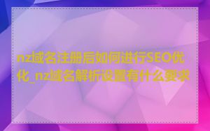 nz域名注册后如何进行SEO优化_nz域名解析设置有什么要求