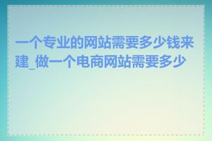 一个专业的网站需要多少钱来建_做一个电商网站需要多少钱