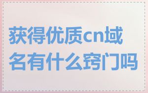 获得优质cn域名有什么窍门吗