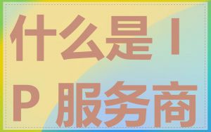 什么是 IP 服务商