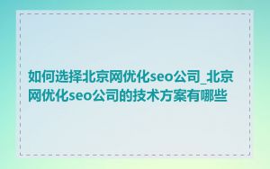 如何选择北京网优化seo公司_北京网优化seo公司的技术方案有哪些