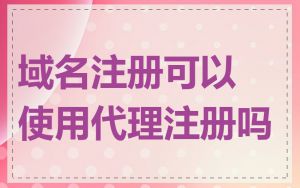 域名注册可以使用代理注册吗
