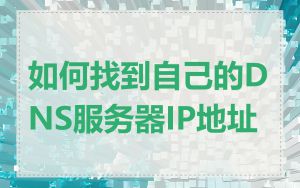 如何找到自己的DNS服务器IP地址