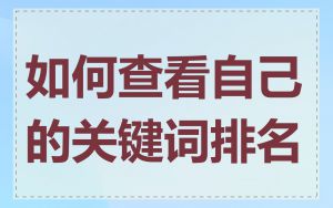 如何查看自己的关键词排名