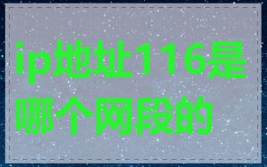 ip地址116是哪个网段的