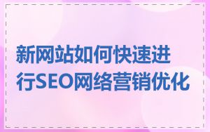 新网站如何快速进行SEO网络营销优化