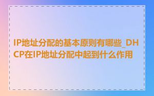 IP地址分配的基本原则有哪些_DHCP在IP地址分配中起到什么作用