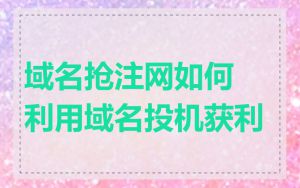 域名抢注网如何利用域名投机获利