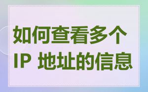 如何查看多个 IP 地址的信息