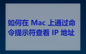 如何在 Mac 上通过命令提示符查看 IP 地址