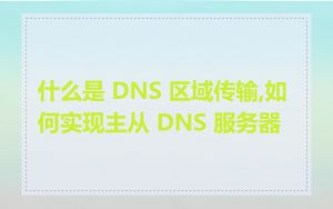 什么是 DNS 区域传输,如何实现主从 DNS 服务器
