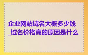 企业网站域名大概多少钱_域名价格高的原因是什么