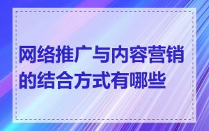 网络推广与内容营销的结合方式有哪些