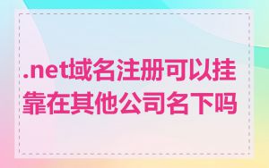 .net域名注册可以挂靠在其他公司名下吗
