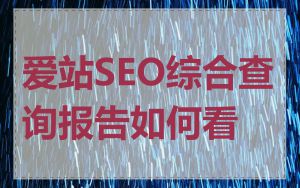 爱站SEO综合查询报告如何看