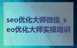 seo优化大师微信_seo优化大师实操培训