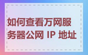 如何查看万网服务器公网 IP 地址