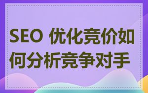 SEO 优化竞价如何分析竞争对手