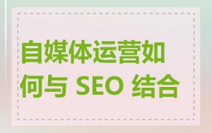 自媒体运营如何与 SEO 结合