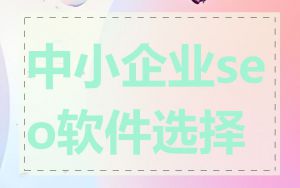 中小企业seo软件选择