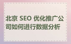 北京 SEO 优化推广公司如何进行数据分析