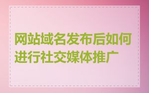 网站域名发布后如何进行社交媒体推广